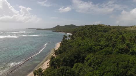 Aerial-drone-shot-over-beautiful-tropical-beach-with-close-up-around-windy-palm